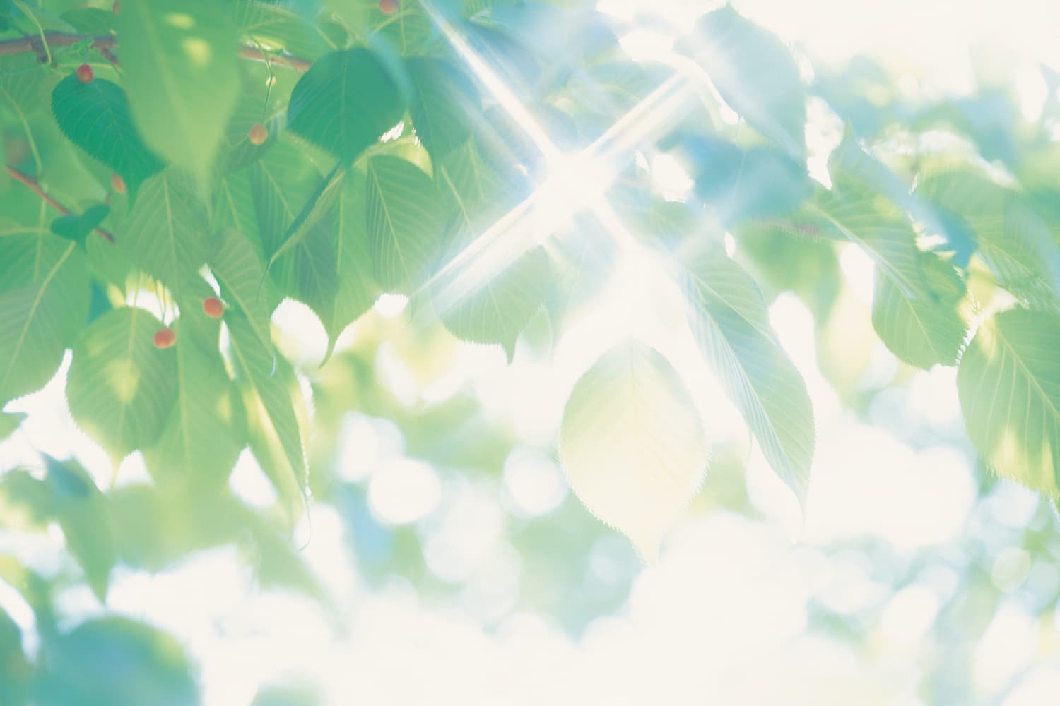 その人らしく生きる力に寄り添う