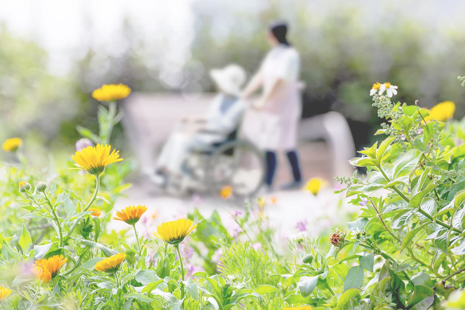 在宅ケアプラットフォーム